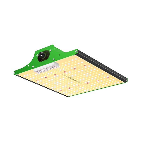 Verlichting Verlichting